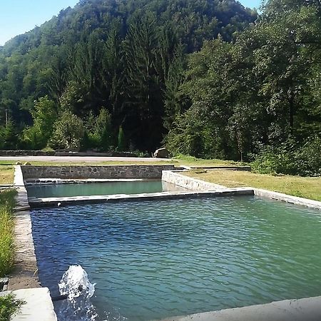 Pensiunea Limpedea Baia-Sprie Esterno foto